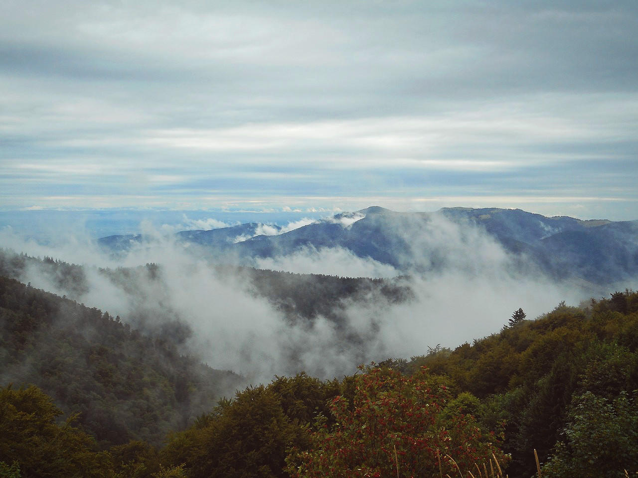 Road trip en Alsace au Grand Ballon