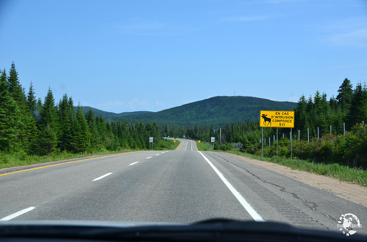 Road trip by Evasions Gourmandes