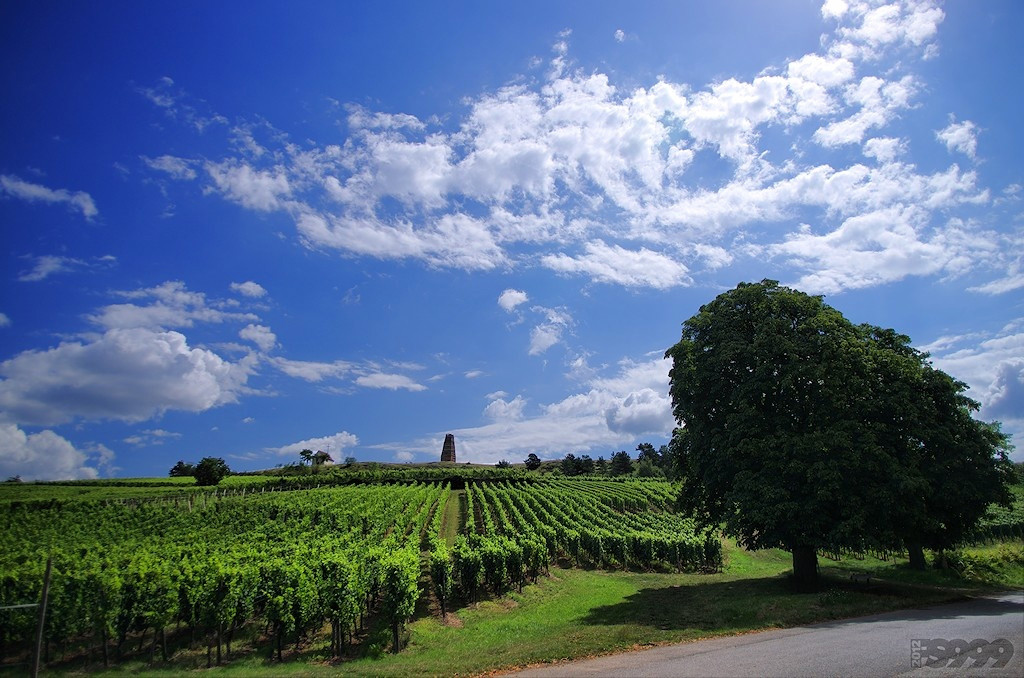 Road trip dans le Florival : de Guebwiller au Grand Ballon